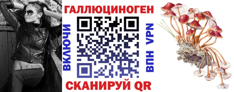 Галлюциногенные грибы мицелий  Елабуга 