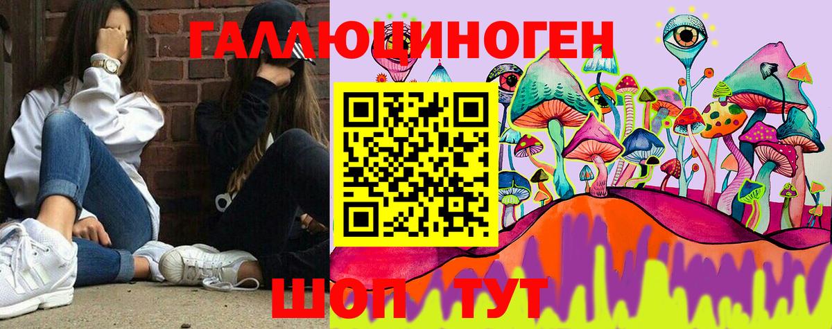 Галлюциногенные грибы Psilocybine cubensis  Вход с VPN  Елабуга 